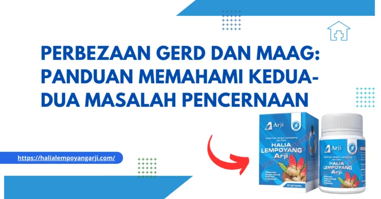 Perbezaan GERD dan Maag: Panduan Memahami Kedua-dua Masalah Pencernaan
